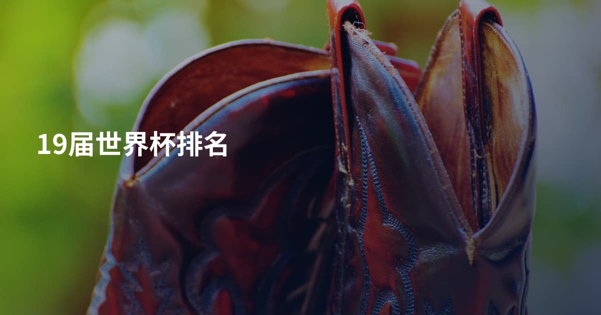 19届世界杯排名