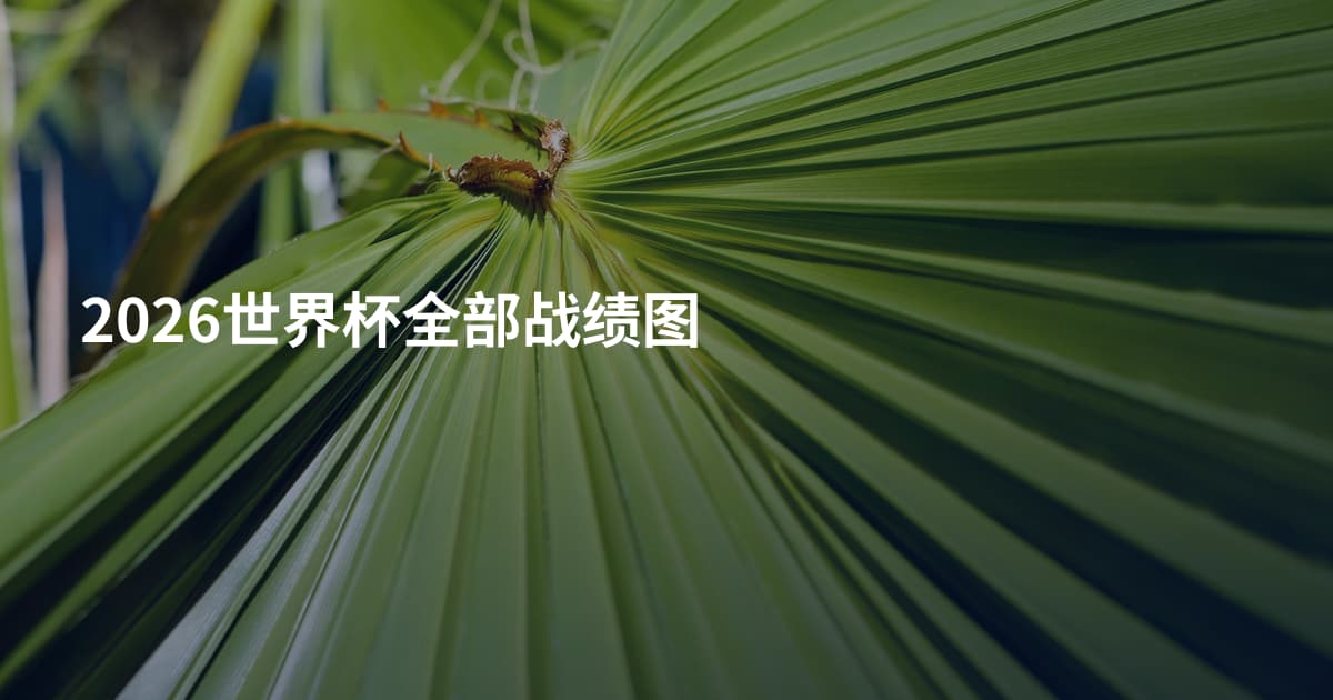 2026世界杯全部战绩图