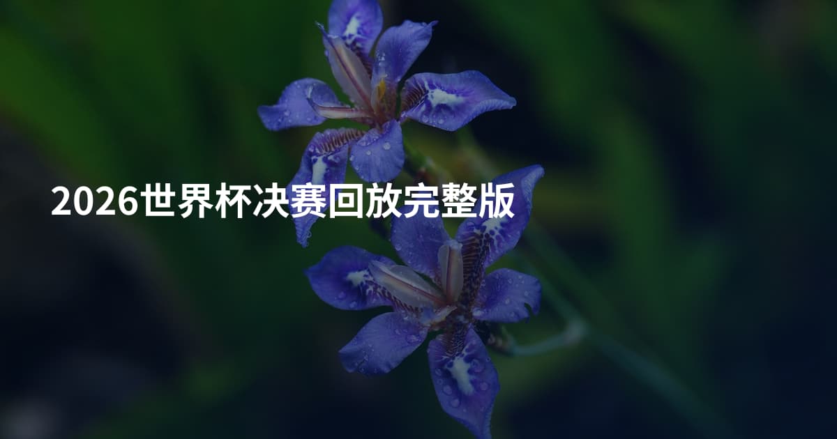 2026世界杯决赛回放完整版