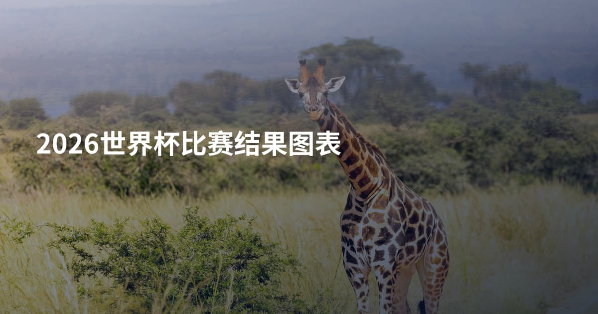 2026世界杯比赛结果图表