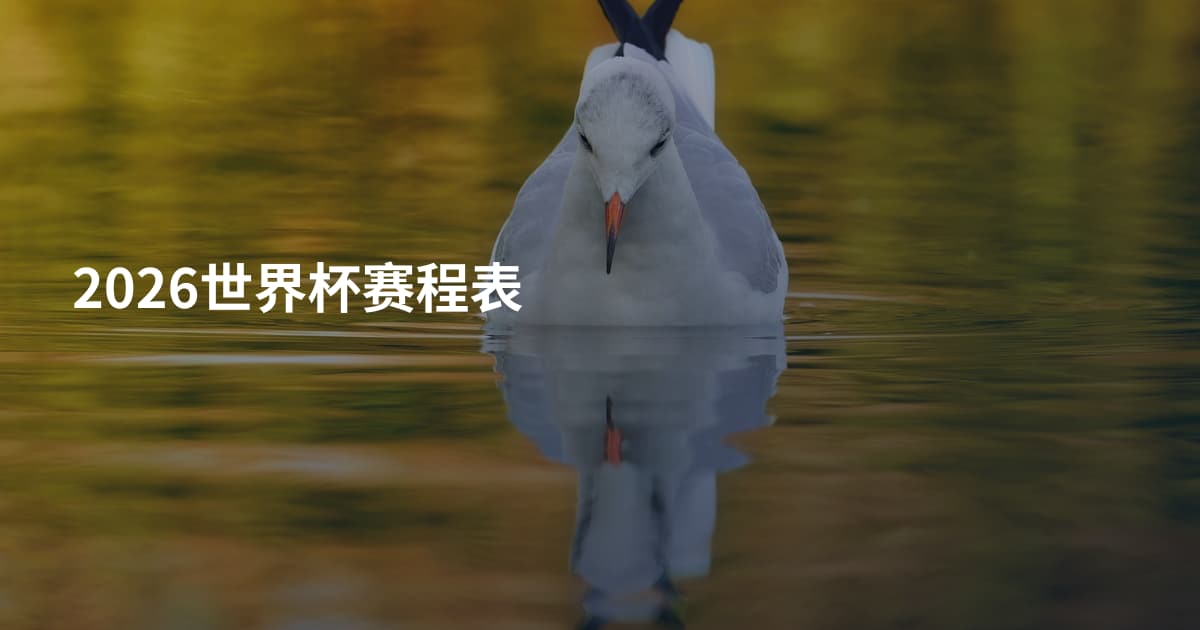 2026世界杯赛程表