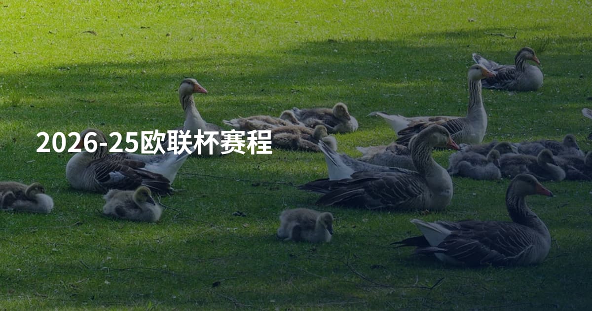 2026-25欧联杯赛程