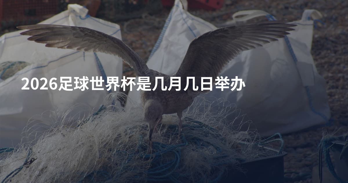 2026足球世界杯是几月几日举办