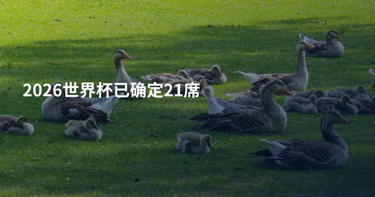 2026世界杯已确定21席