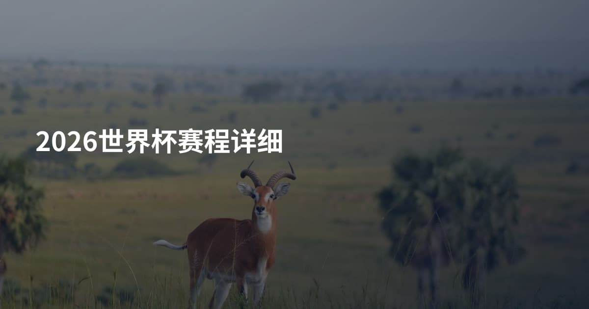 2026世界杯赛程详细
