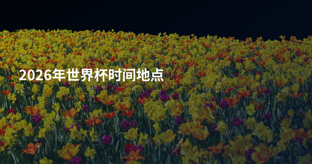 2026年世界杯时间地点