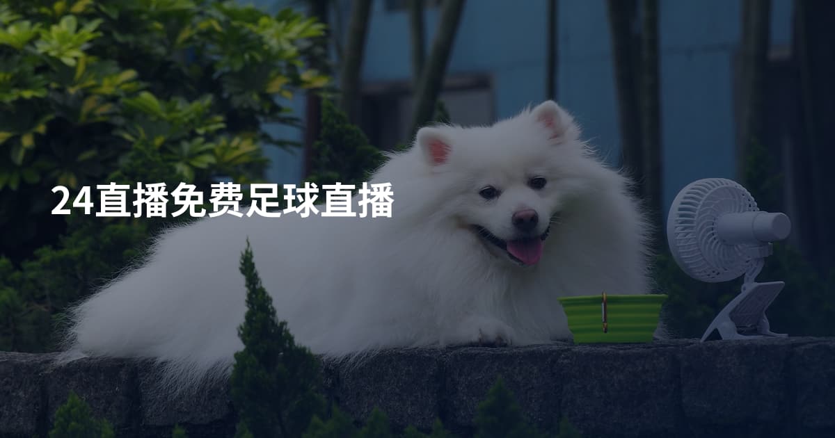 24直播免费足球直播