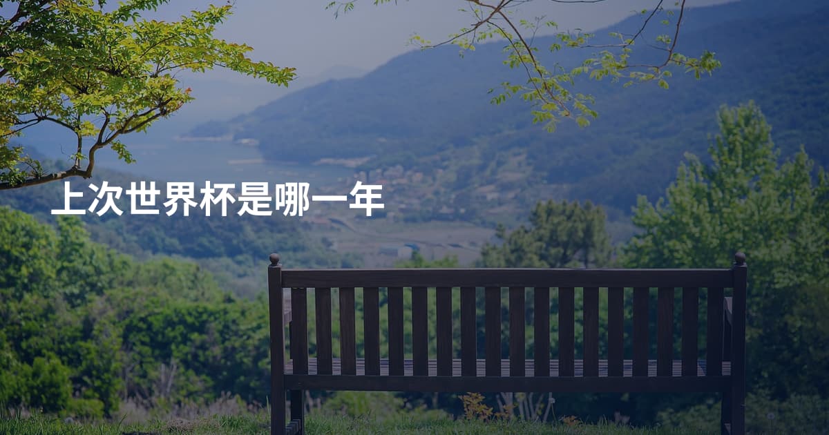 上次世界杯是哪一年