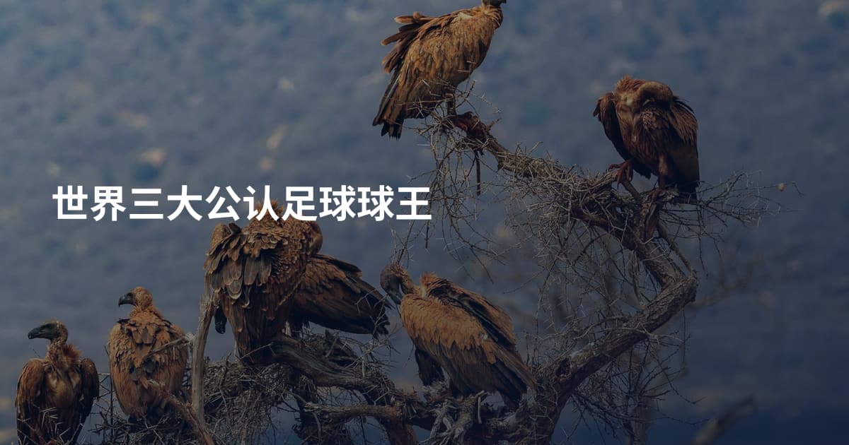 世界三大公认足球球王