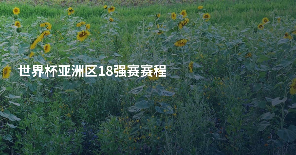世界杯亚洲区18强赛赛程