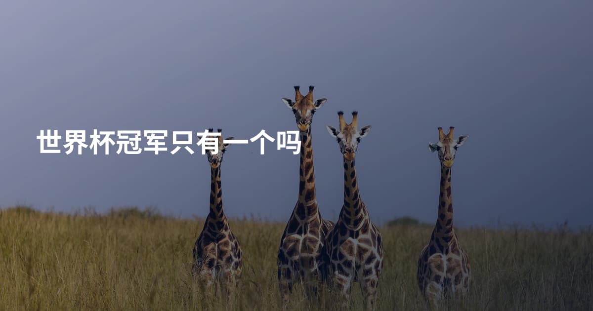 世界杯冠军只有一个吗