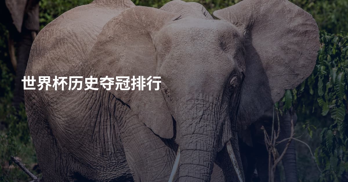 世界杯历史夺冠排行