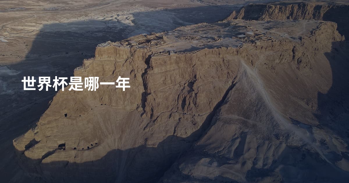 世界杯是哪一年
