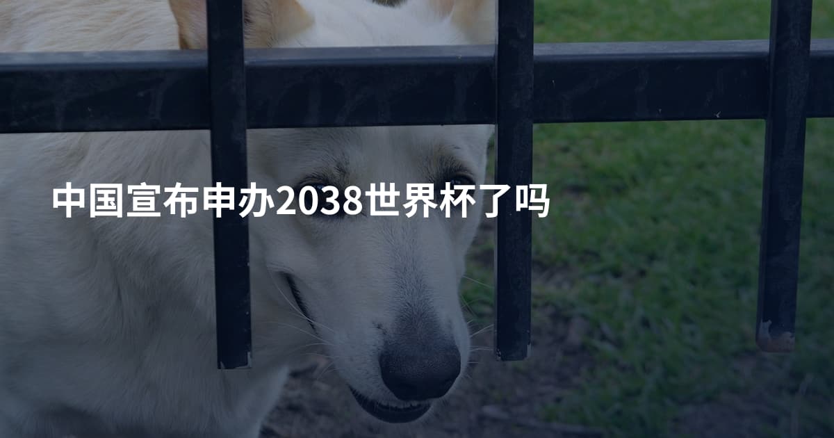 中国宣布申办2038世界杯了吗