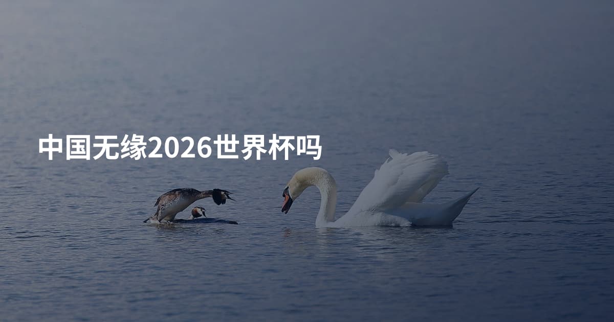 中国无缘2026世界杯吗