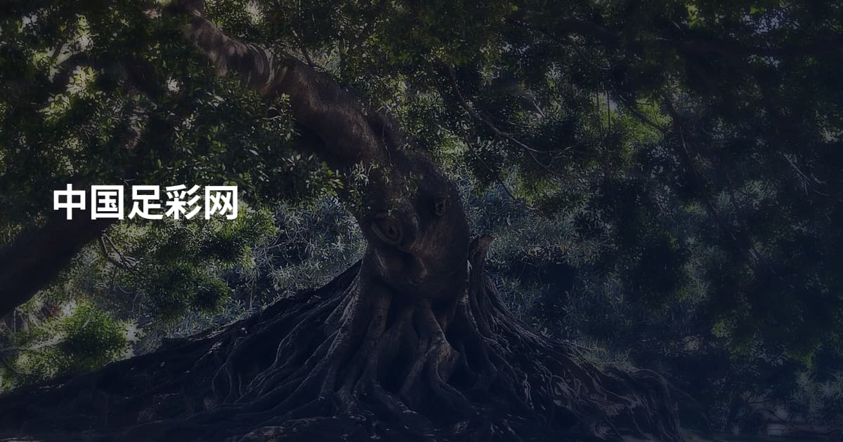 中国足彩网