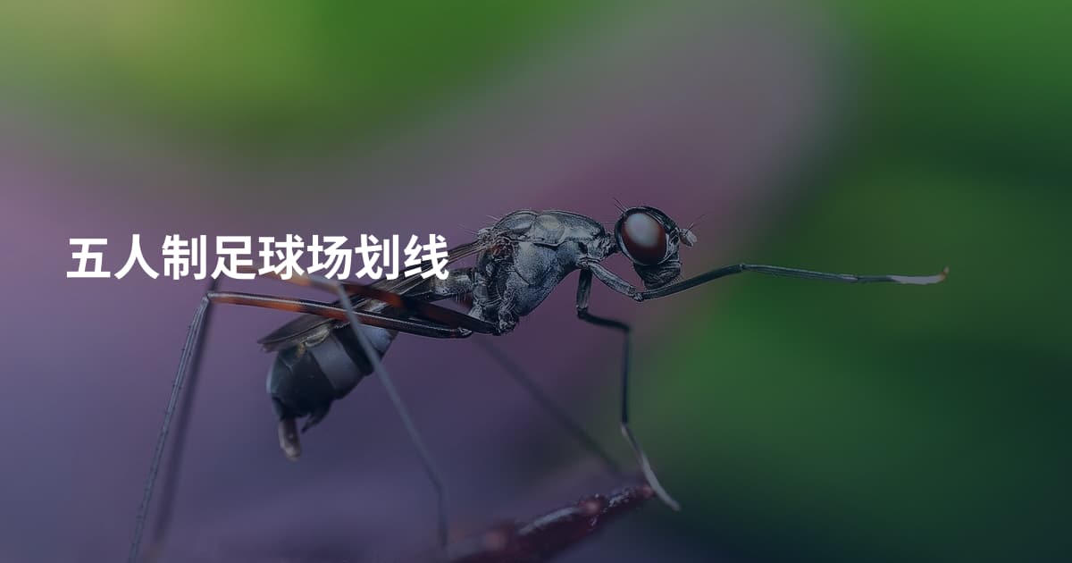 五人制足球场划线
