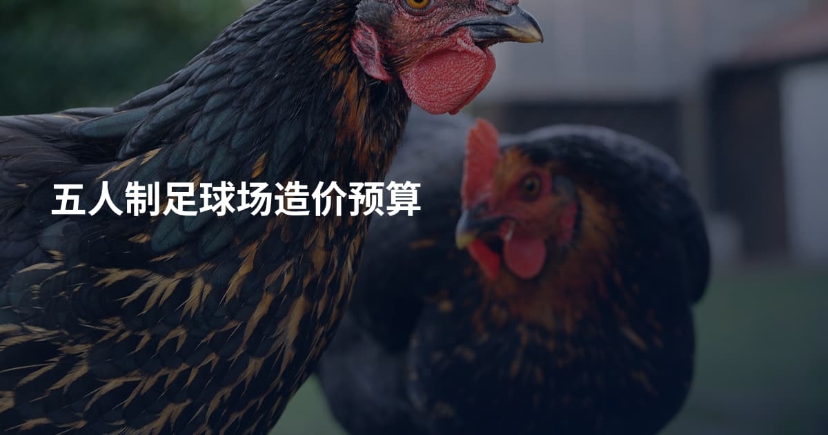 五人制足球场造价预算