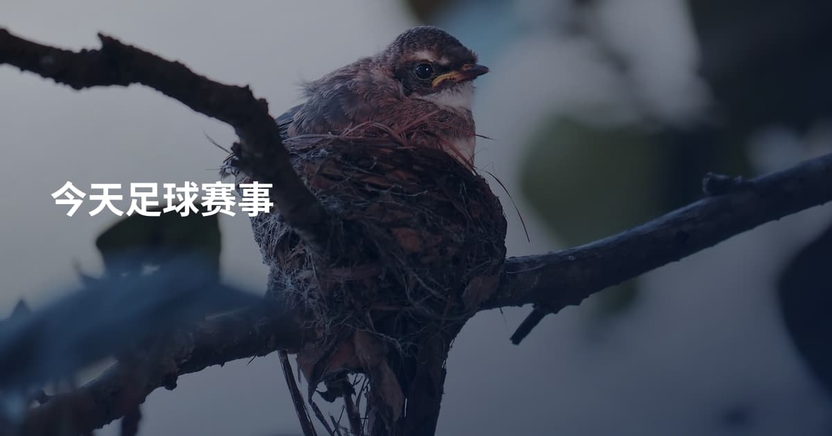 今天足球赛事