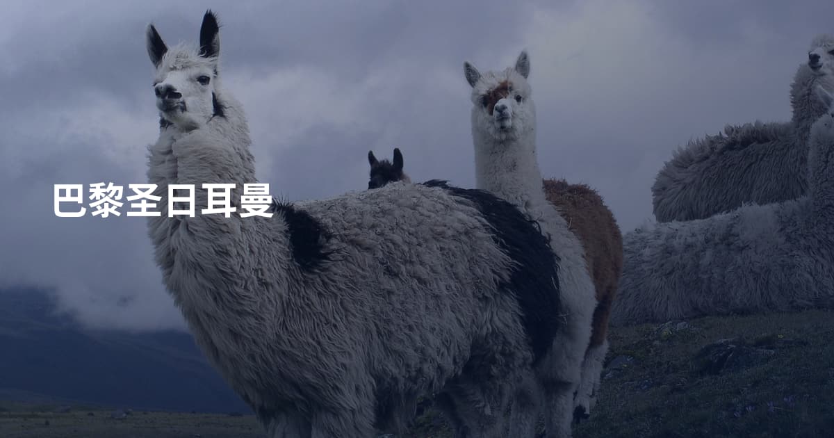 巴黎圣日耳曼