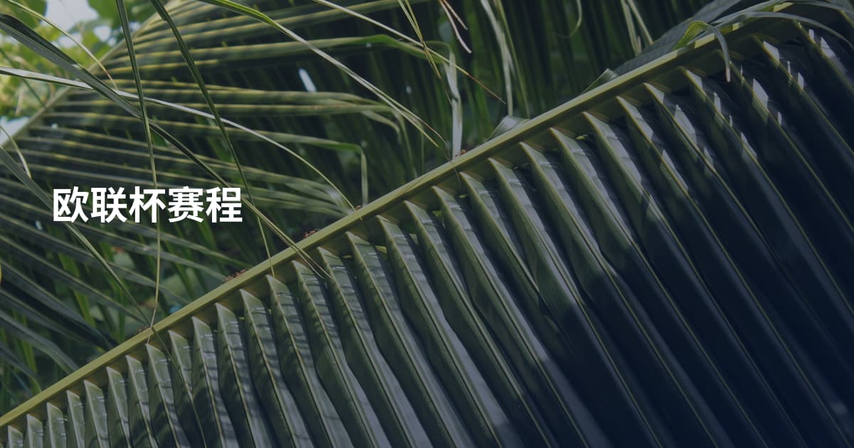 欧联杯赛程