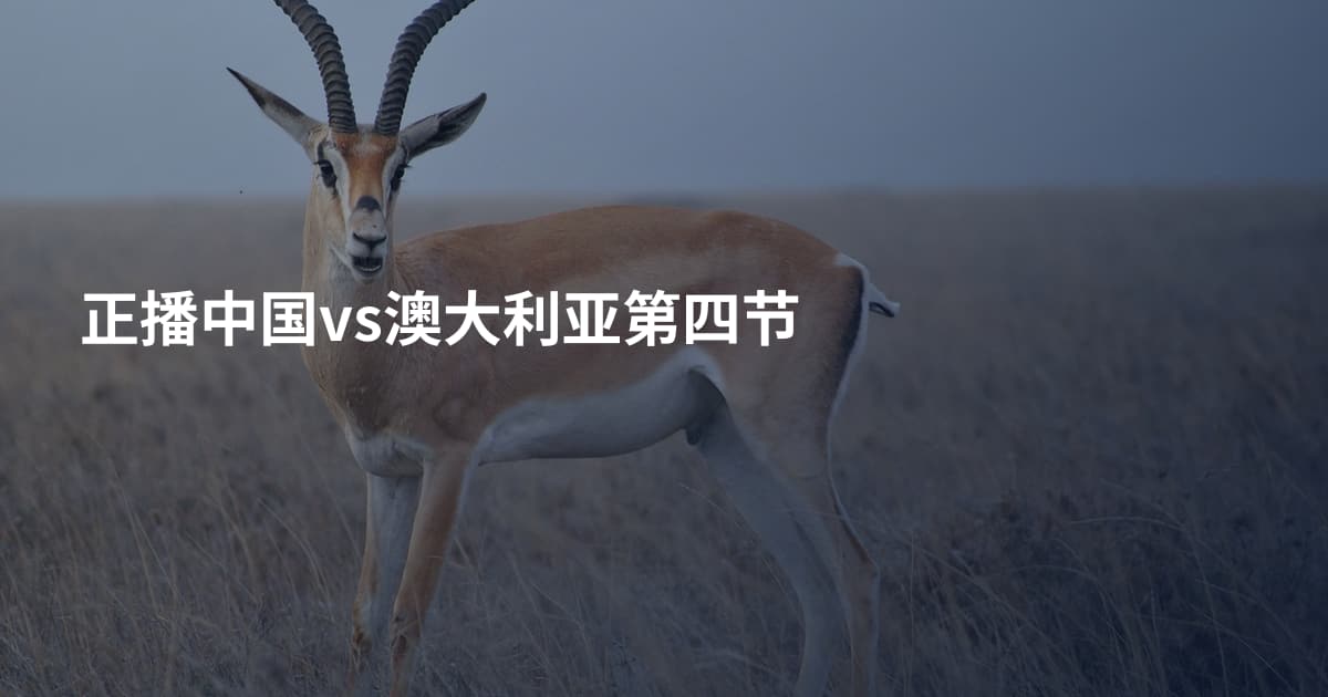 正播中国vs澳大利亚第四节