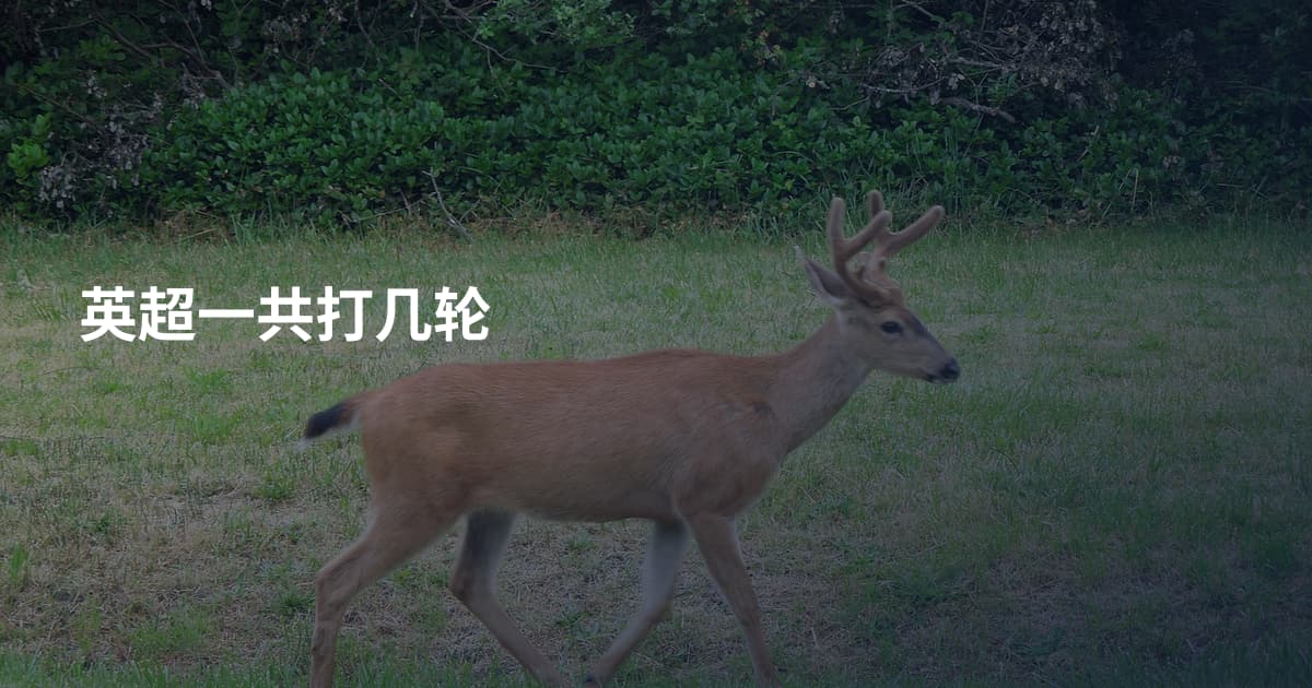 英超一共打几轮