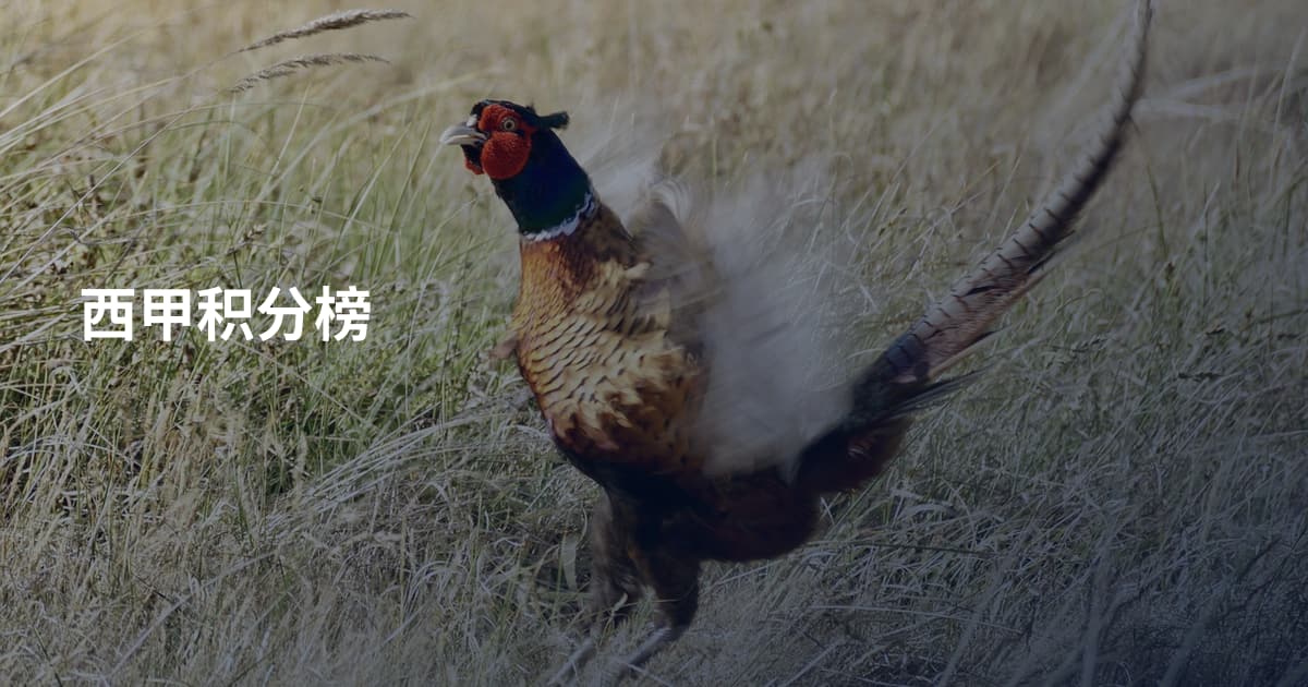 西甲积分榜