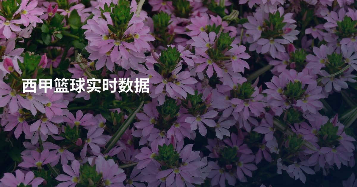 西甲篮球实时数据