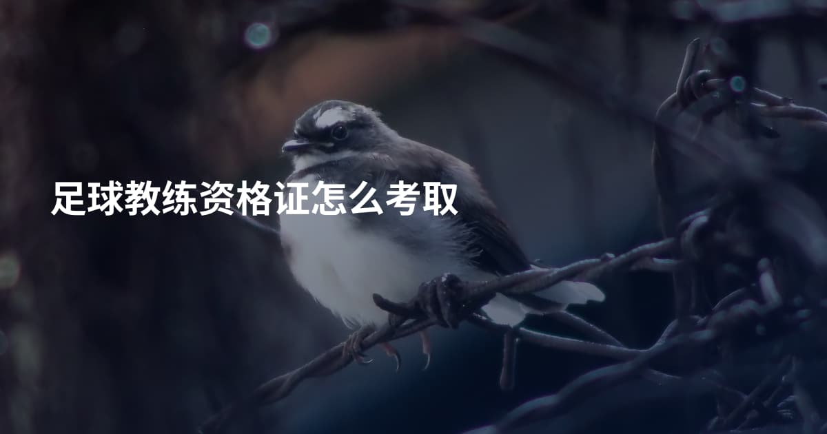 足球教练资格证怎么考取