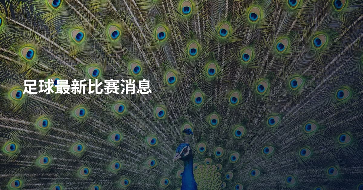 足球最新比赛消息
