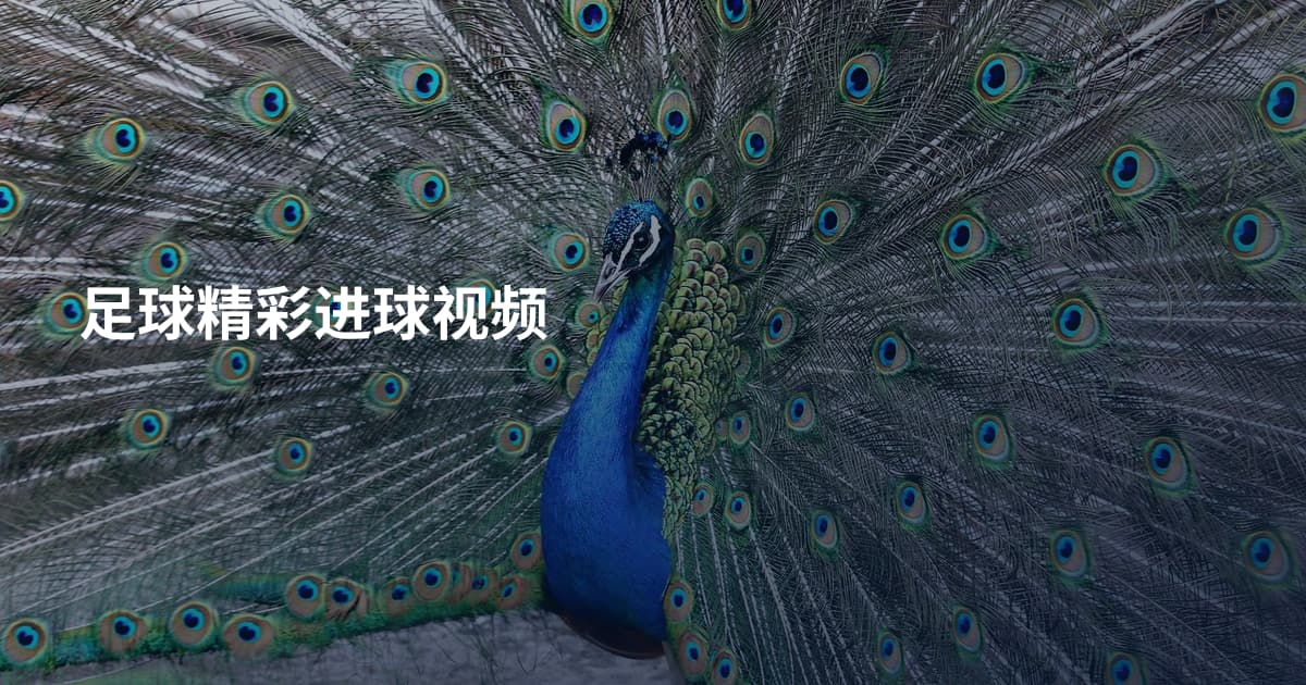足球精彩进球视频