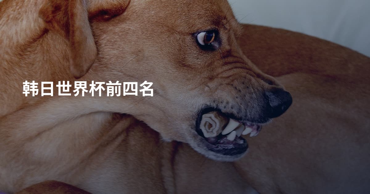 韩日世界杯前四名