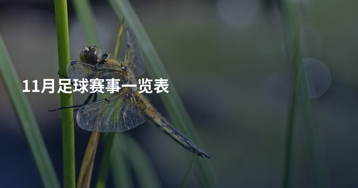 11月足球赛事一览表