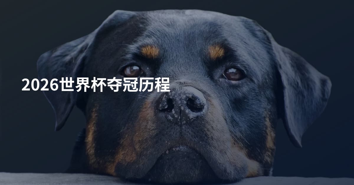 2026世界杯夺冠历程