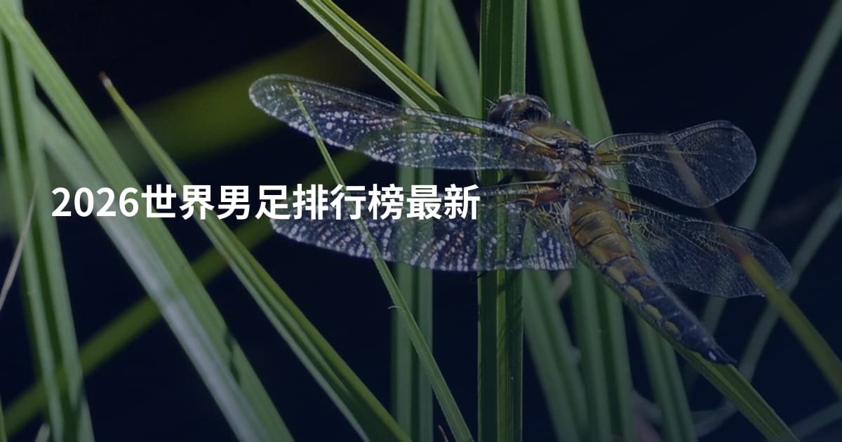 2026世界男足排行榜最新