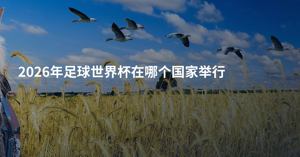 2026年足球世界杯在哪个国家举行