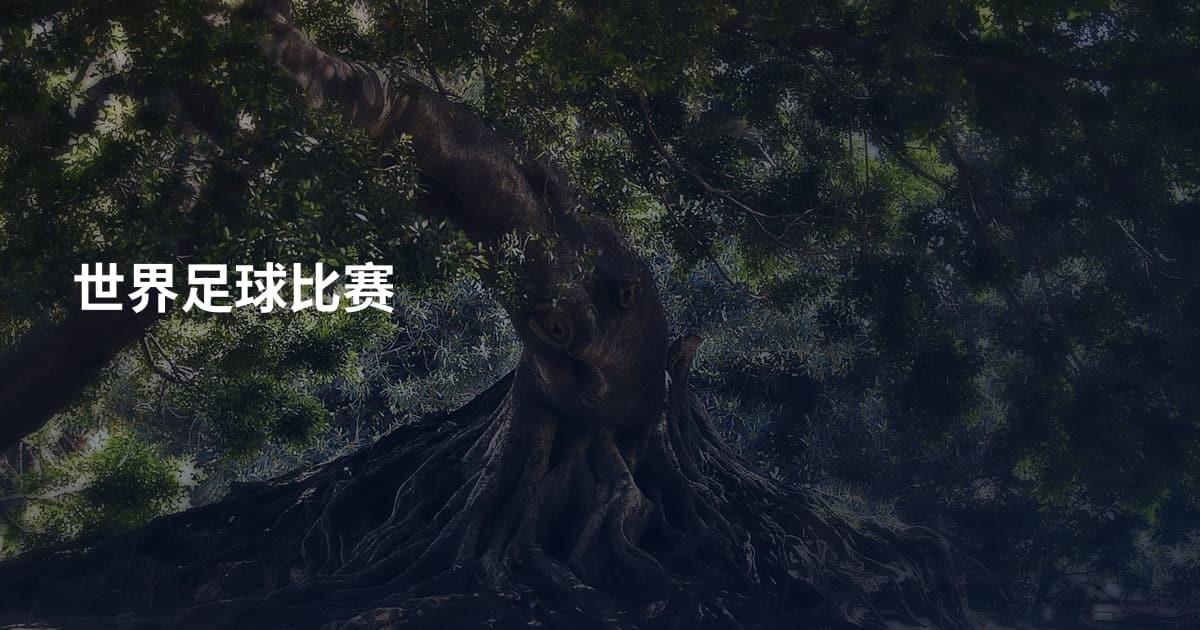 世界足球比赛