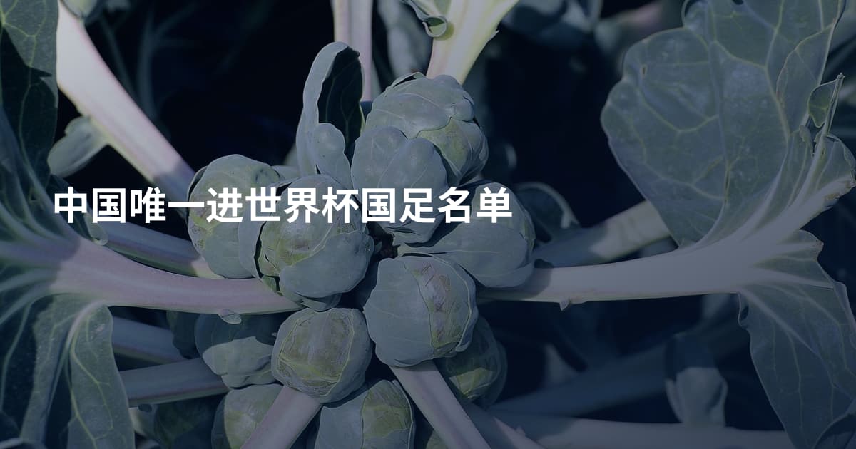 中国唯一进世界杯国足名单