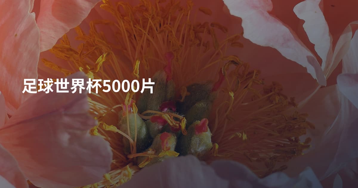 足球世界杯5000片
