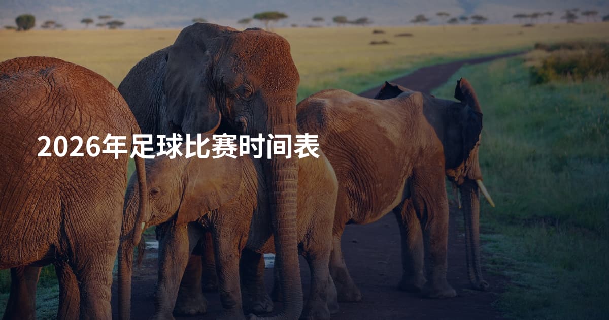 2026年足球比赛时间表