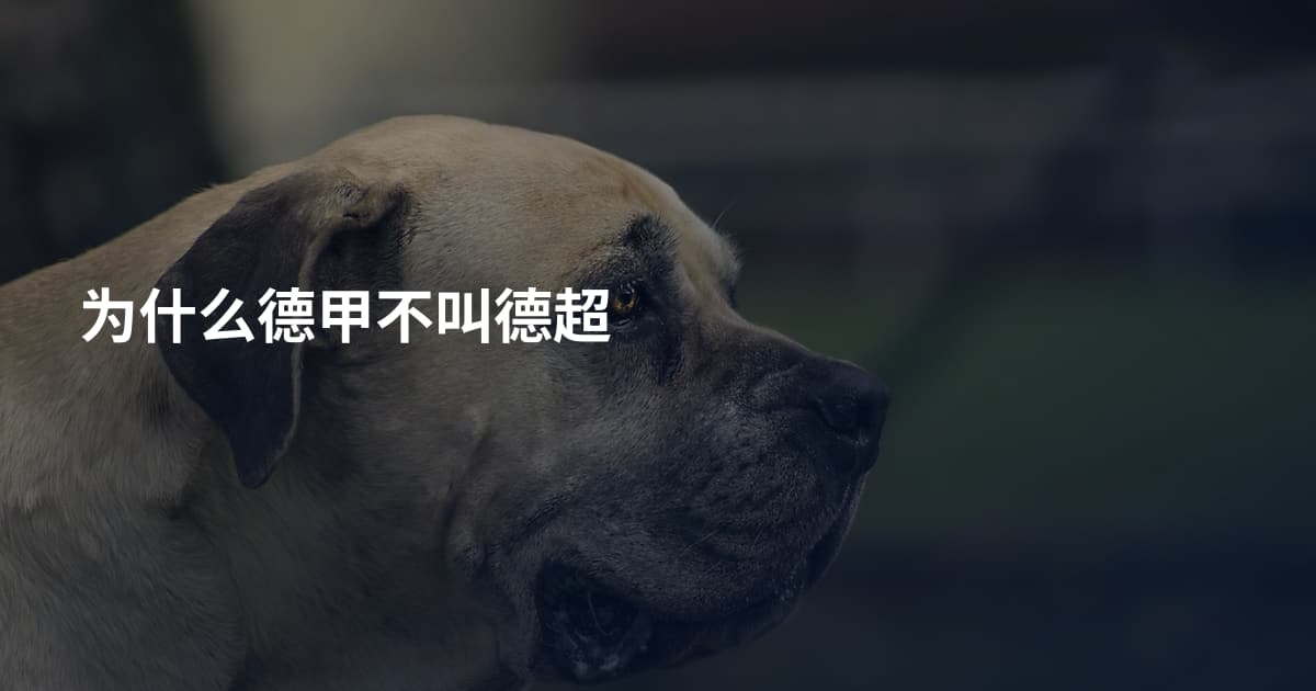为什么德甲不叫德超