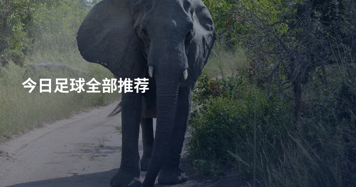 今日足球全部推荐