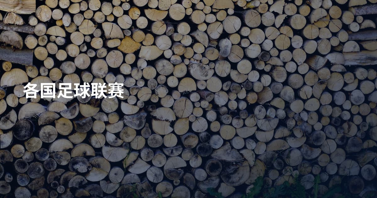 各国足球联赛