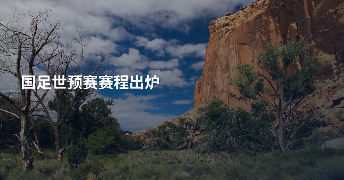 国足世预赛赛程出炉