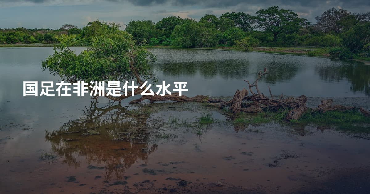 国足在非洲是什么水平