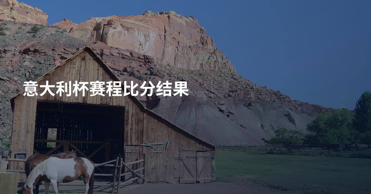 意大利杯赛程比分结果