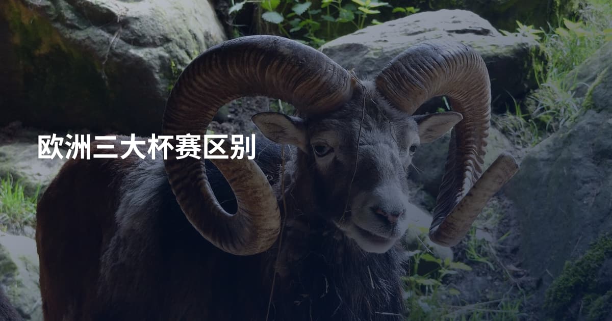 欧洲三大杯赛区别
