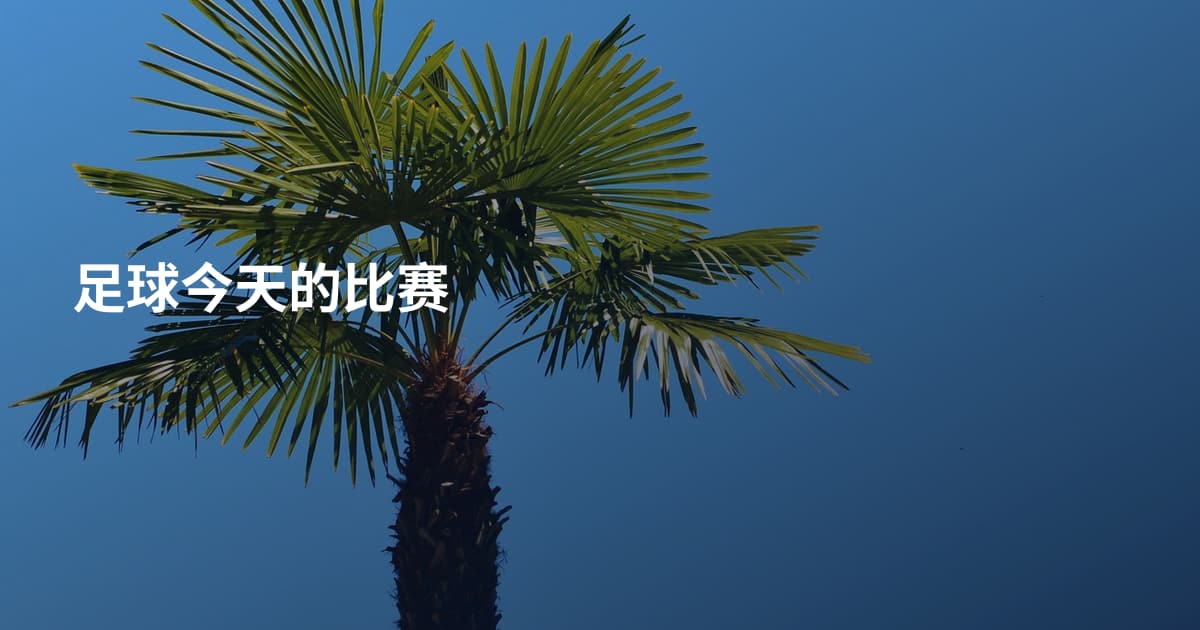 足球今天的比赛