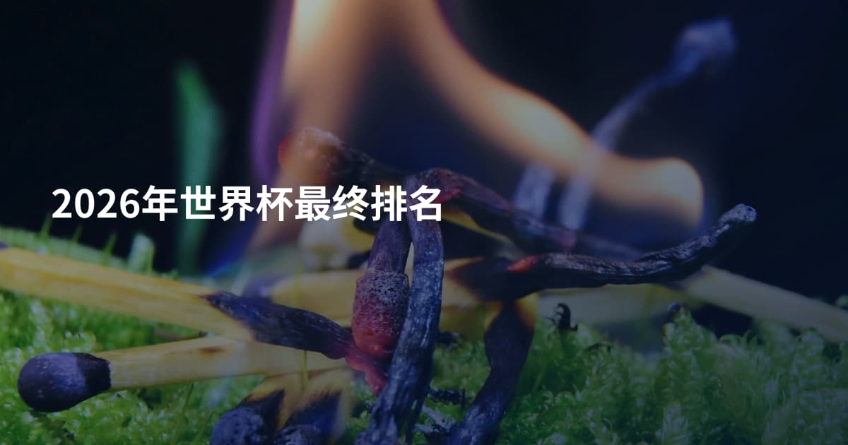 2026年世界杯最终排名